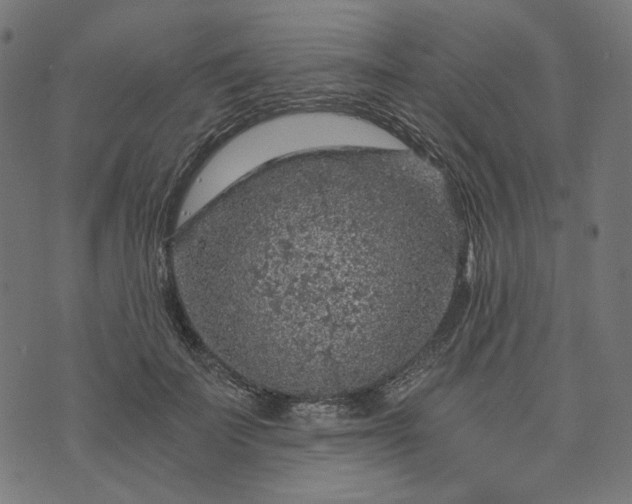 X0000073750699200608171331