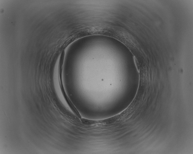 X0000073750700200608171331