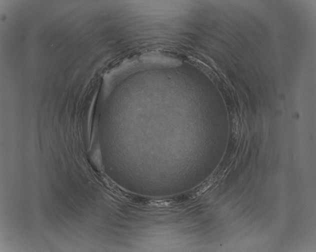 X0000073750701200608171331