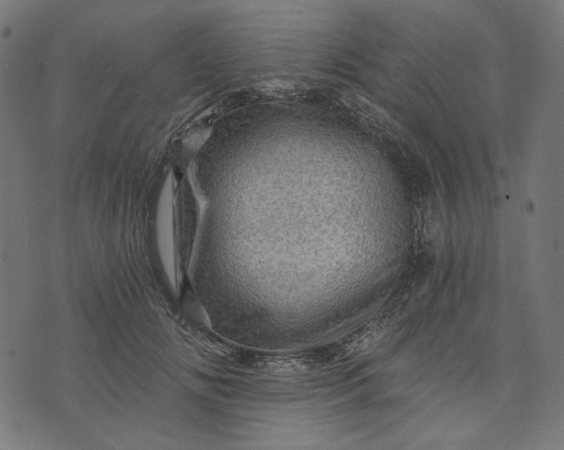 X0000073750702200608171331