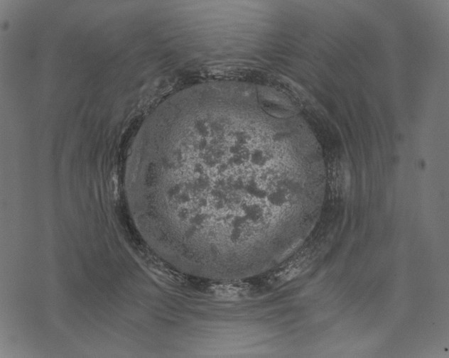 X0000073750703200608171331