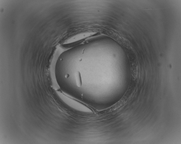 X0000073750704200608171331