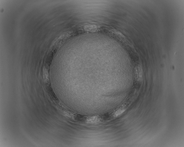 X0000073750705200608171331