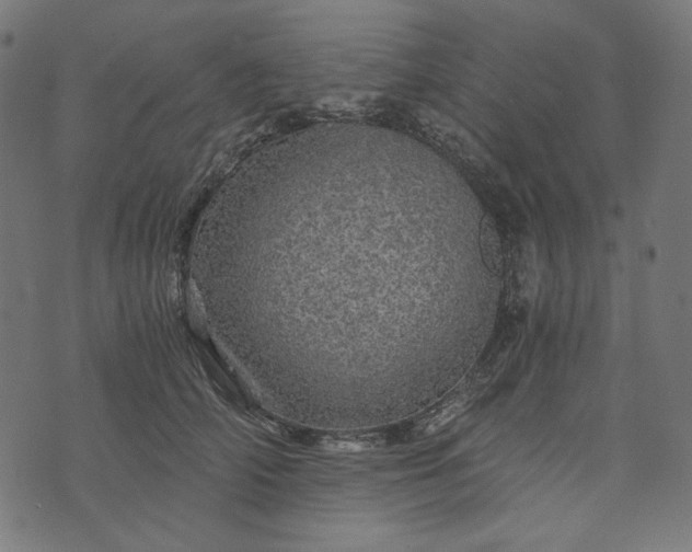 X0000073750706200608171331