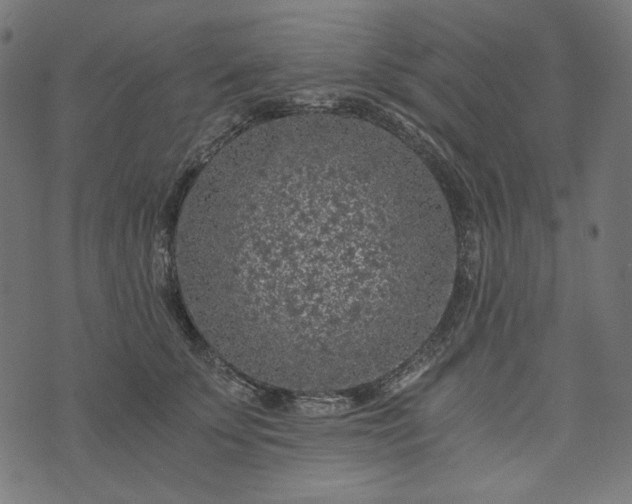 X0000073750707200608171331