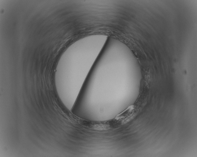 X0000073750708200608171331