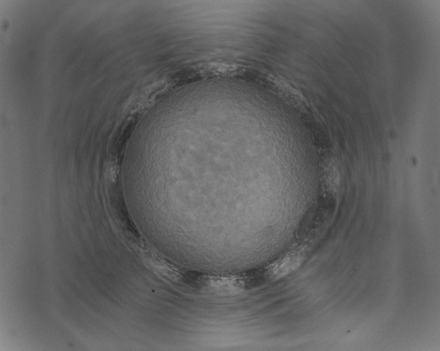 X0000073750709200608171331