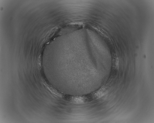 X0000073750710200608171331