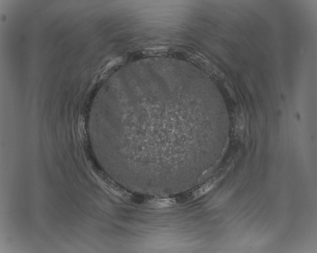 X0000073750711200608171331