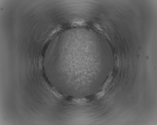 X0000073750712200608171331