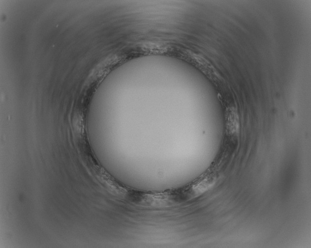 X0000073750713200608171331