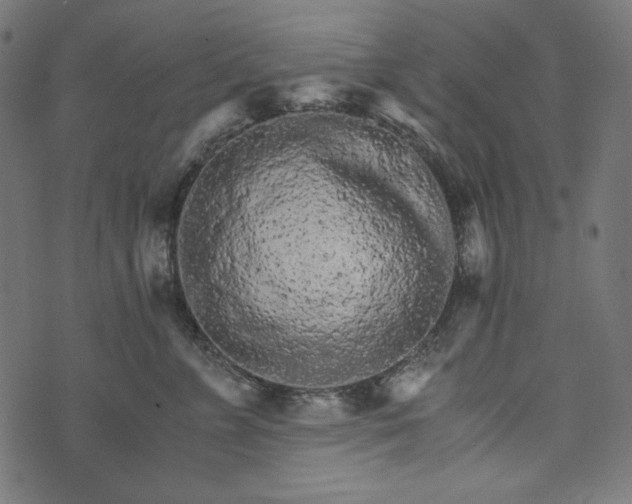 X0000073750715200608171331