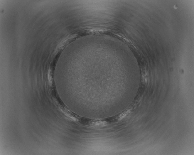 X0000073750716200608171331