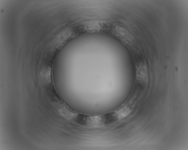 X0000073750717200608171331