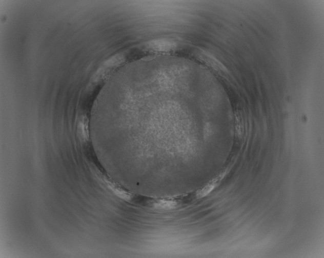 X0000073750718200608171331