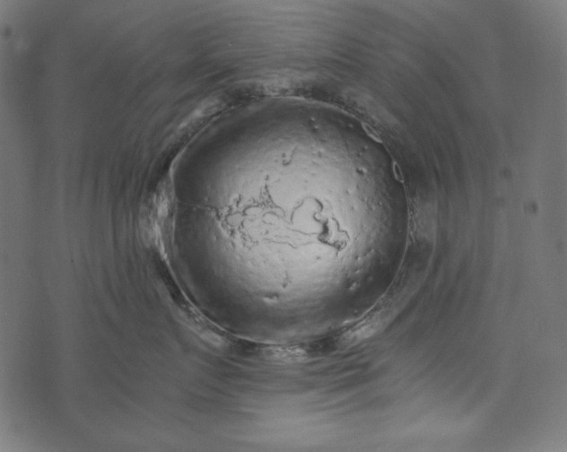 X0000073750719200608171331