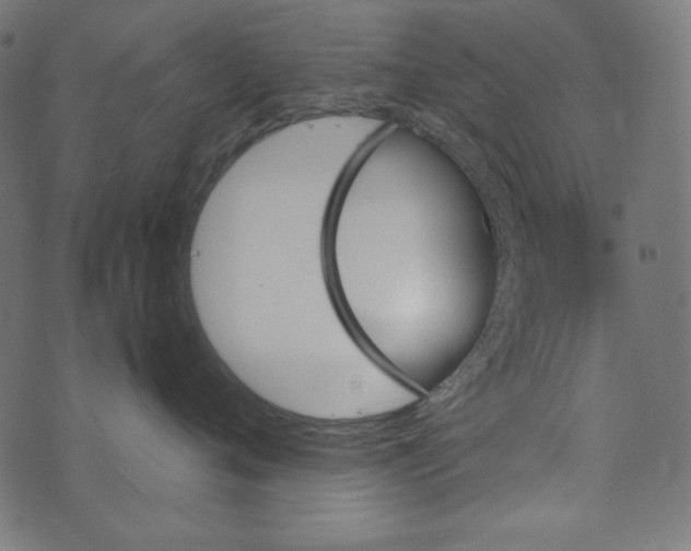 X0000073750720200608171331