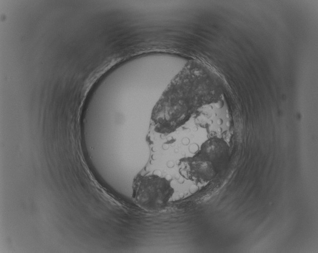 X0000073750721200608171330