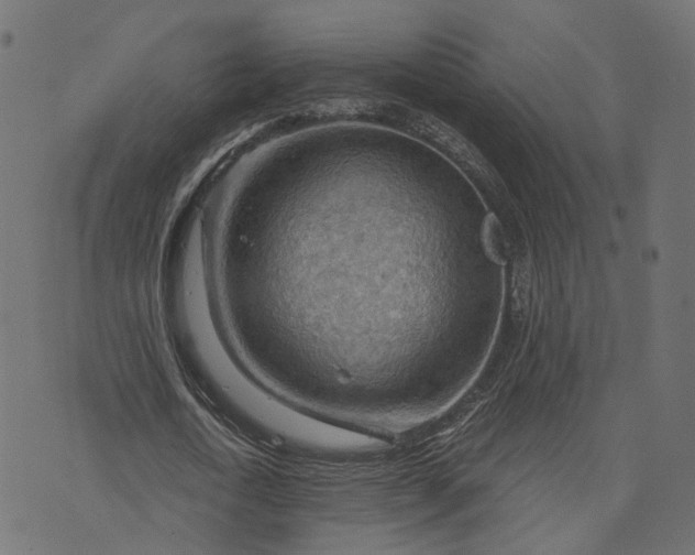 X0000073750722200608171330