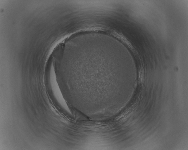 X0000073750724200608171330