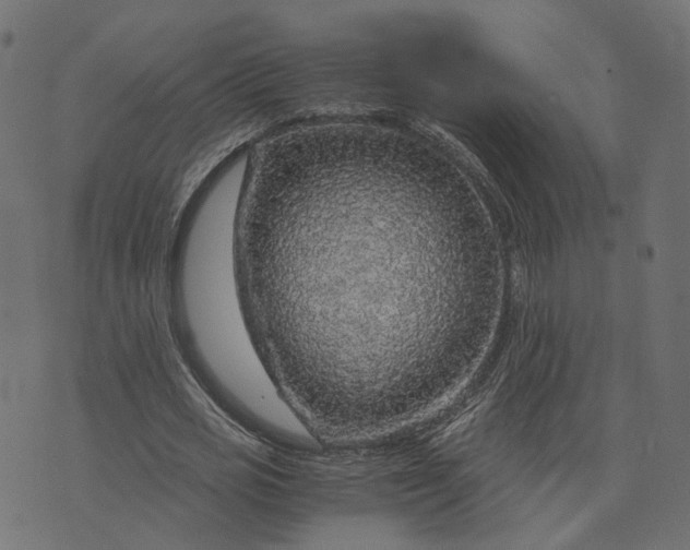 X0000073750725200608171330