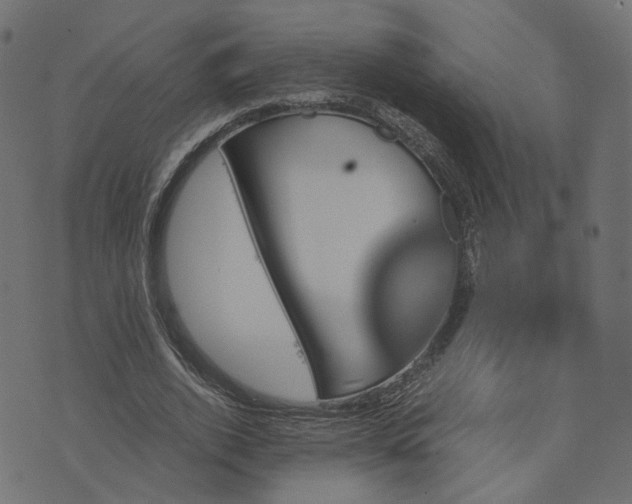 X0000073750728200608171330