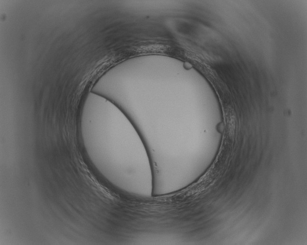 X0000073750729200608171330