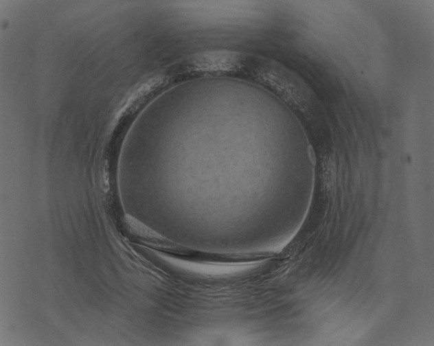 X0000073750731200608171330