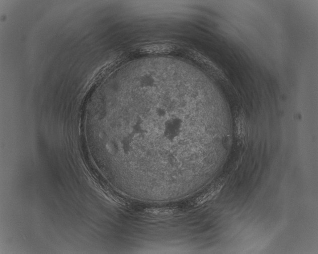 X0000073750733200608171330