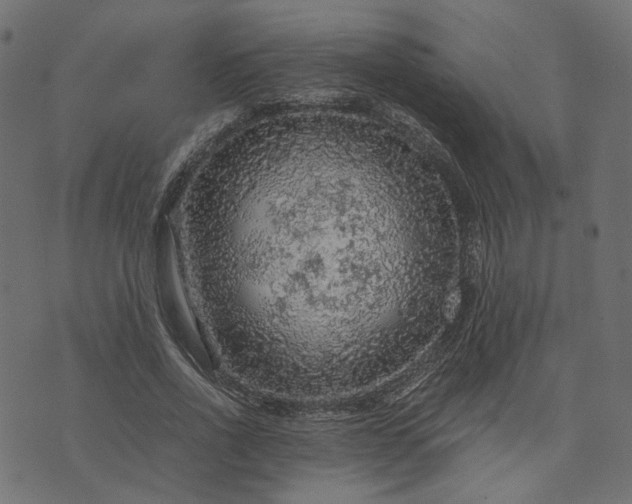 X0000073750734200608171330