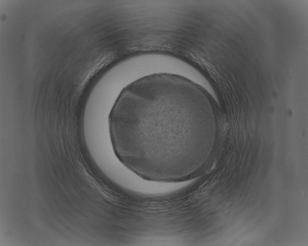 X0000073750735200608171330