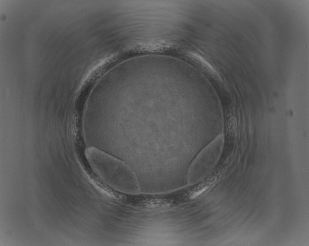 X0000073750736200608171330