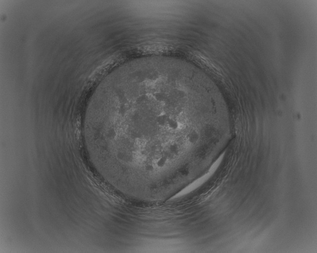 X0000073750737200608171330