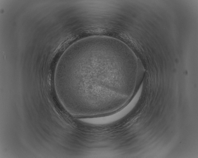 X0000073750739200608171330