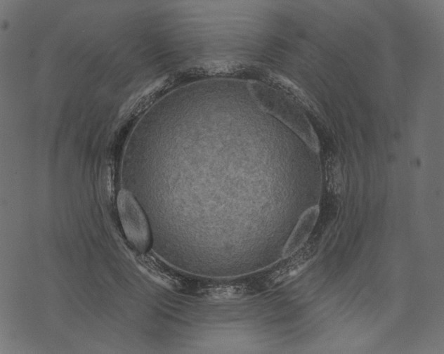 X0000073750740200608171331