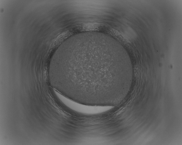 X0000073750741200608171331