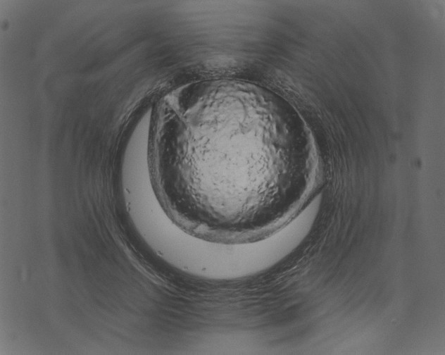 X0000073750742200608171331