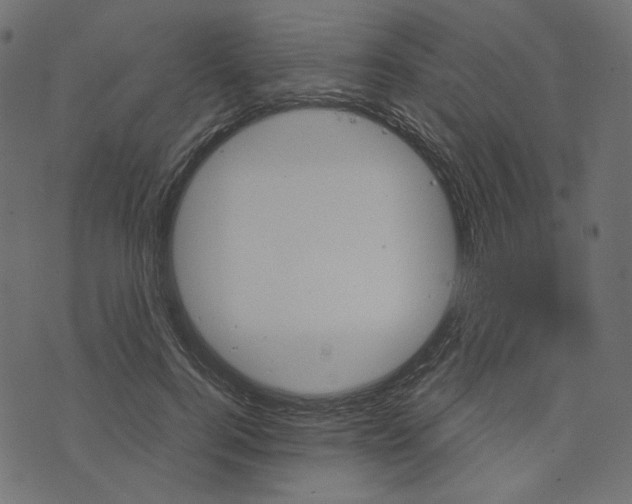 X0000073750744200608171331