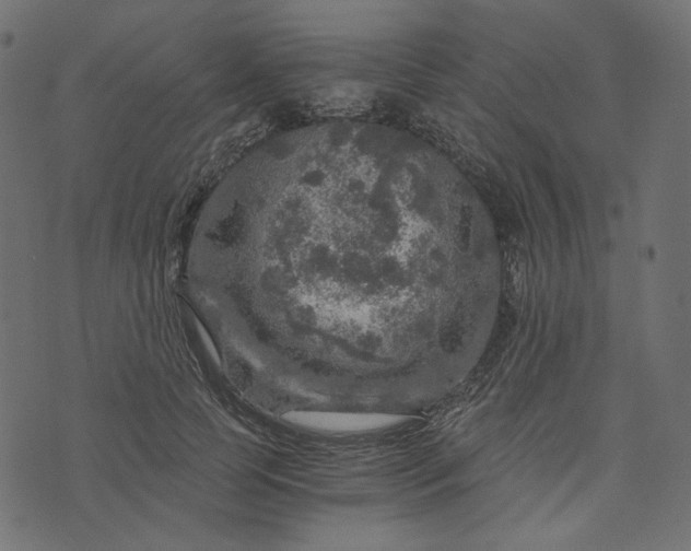 X0000073750745200608171331