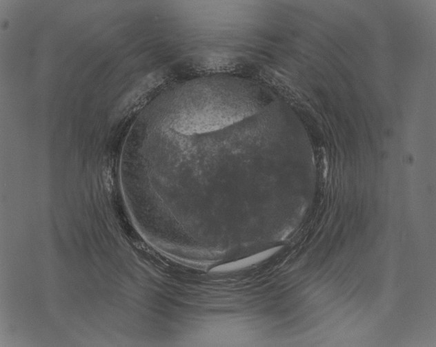 X0000073750746200608171331