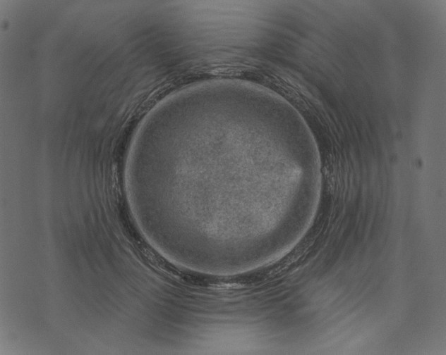 X0000073750748200608171331