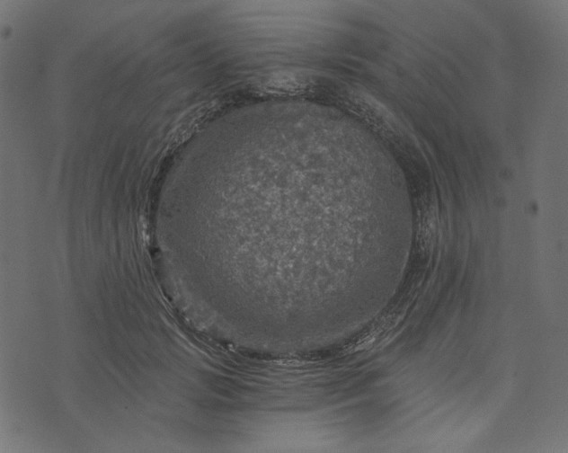 X0000073750749200608171331