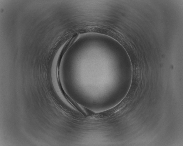 X0000073750750200608171331