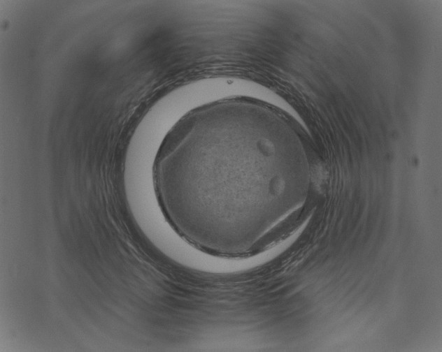 X0000073750751200608171331