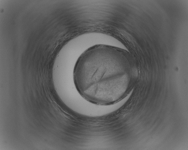 X0000073750752200608171331