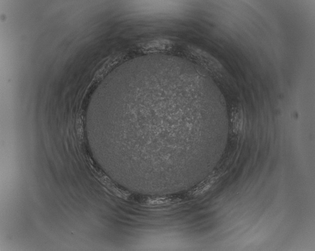 X0000073750753200608171331