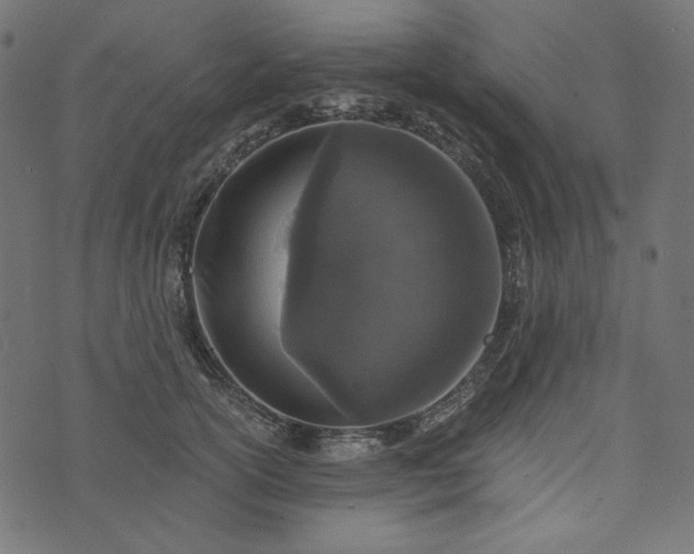 X0000073750754200608171331