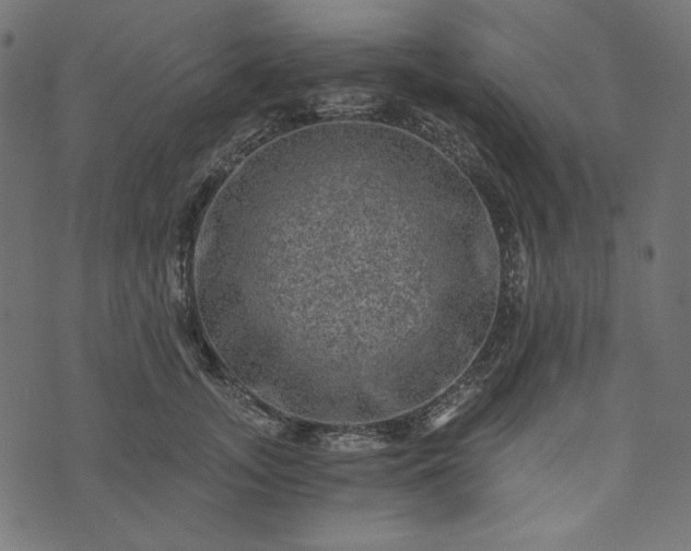 X0000073750755200608171331