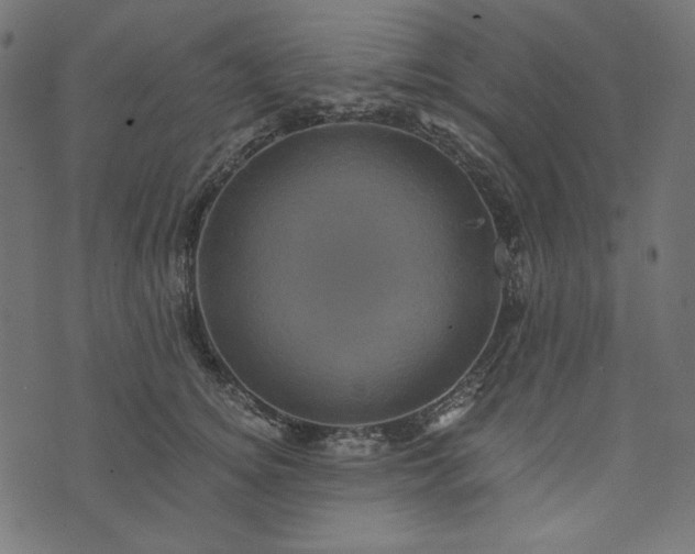 X0000073750756200608171331