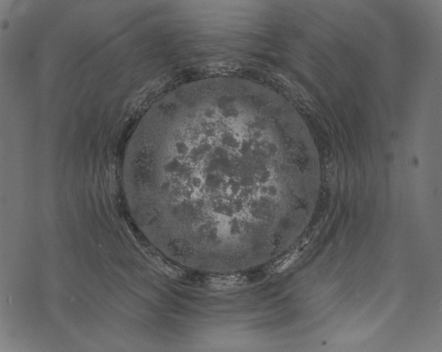 X0000073750757200608171331